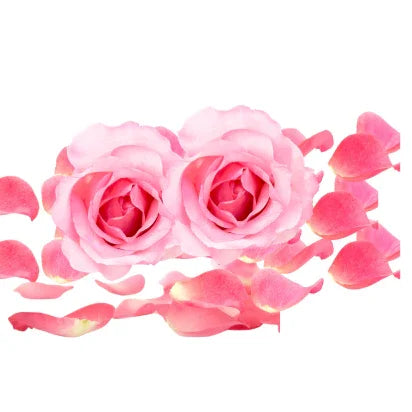 🌹 Rose Absolute – The Essence of Elegance &amp; Wellness by Glorient Aromatics