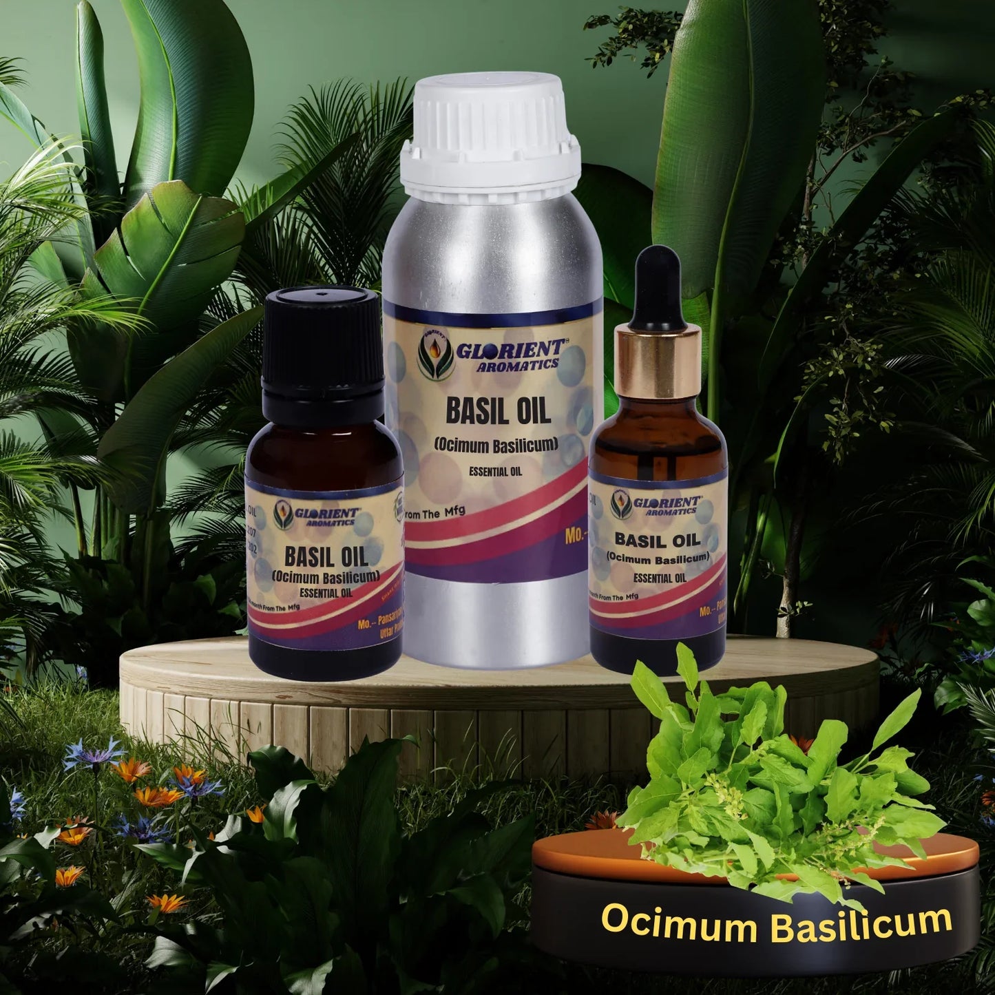 Basil Oil ( Ocimum basilicum )