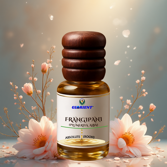 Frangipani Absolute (Plumeria Alba)