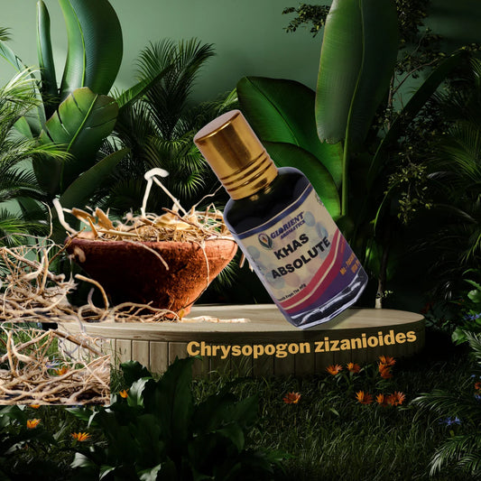 Khas Absolute (Vetiveria zizaniodes)